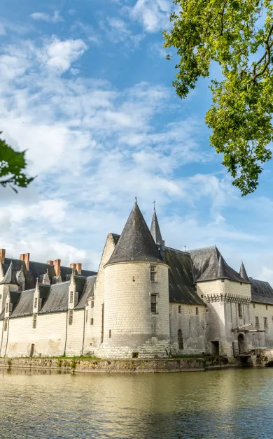 Château du Plessis-Bourré