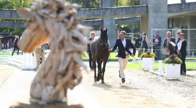 Inspection des chevaux ©PSV Photo - www.psvphoto.com