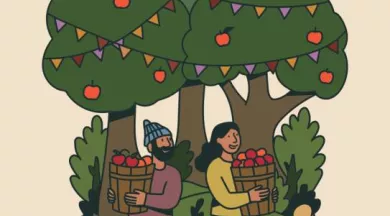 Fête-du-Cidre-2026 - L'Hôtellerie-de-Flée - 49 - FMA - ©Lafêteducidre