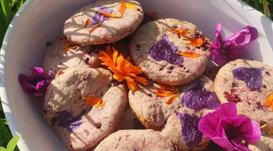 rendez-vous-nature-49-fma-photo2 - ©anjou département