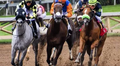 Course Durtal - Pixabay