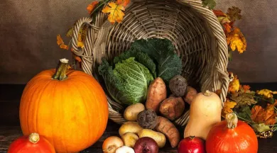 marché automne  - sabrina_ripke_fotografie-pumpkin
