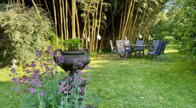 Jardins de la Closerie_Huillé - Laura BELLANGER