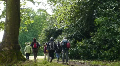 RANDO-PEDESTRE-49-FMA-photo1 - ©Office de Tourisme de l'Anjou bleu