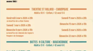 théâtre-des-goganes-un homme deux jobs-champigné-fma-49-photo2 - ©Théâtre des Goganes