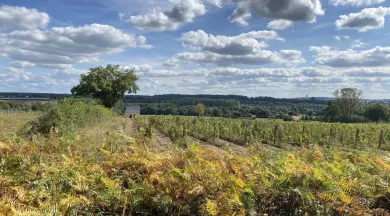Domaine de Huillé - Laura Bellanger