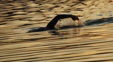 swimmer-3951545_1280 - Image par modritsch de Pixabay