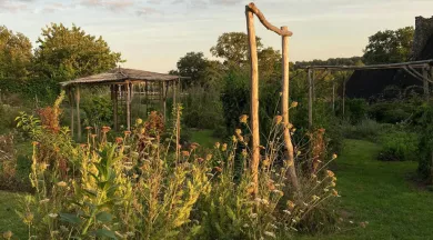 Le jardin des Arcands - Nyoiseau - ©lesjardinsdesarcands