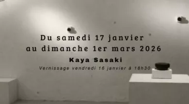 Sound_in_Vivo-49-FMA-photo - ©Atelier Legault