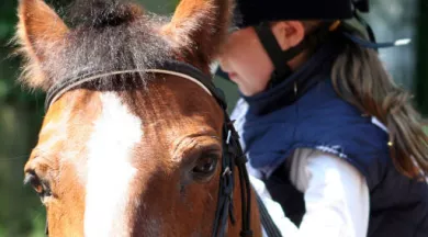 Stage équitation  - freepik