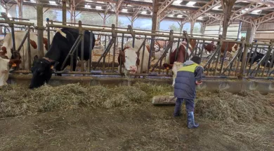Atelier Agri' en herbe - LG Bio