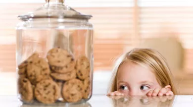 Cookies Party Lézigné 060525 - Pixabay