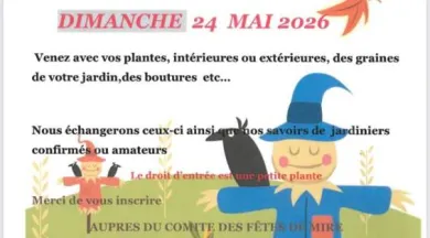 Troc'plantes à Miré - ©comité des fêtes