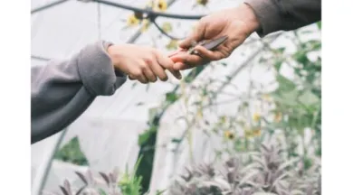 Parole_de_payans-49-FMA-photo1 - ©Atelier Legault