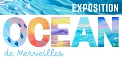 Océan_de_Merveilles -49-FMA-photo1 - ©Atelier Legault