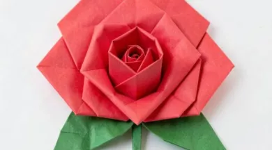 Atelier_manuel_rose_origami-49-FMA-photo1 - ©Pixabay