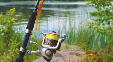 PECHE1 - ©LUM3N - PIXABAY