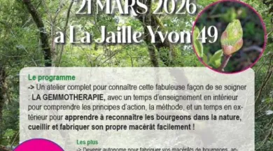 Capture d’écran 2026-03-06 143745 - Nature et Simples