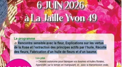 Capture d’écran 2026-03-06 145837 - Nature et Simples