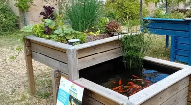 Atelier initiation Aquaponie 052026 - Ferme Aquacole Morannes