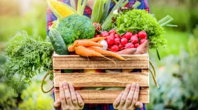marché - pixabay