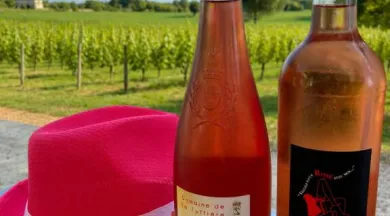 Domaine de la Tuffiere - ©Laura Bellanger 