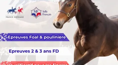 Affiche - Concours 2026 - France Dressage x SF - Haras des Fenucy