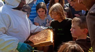 p15-fete-du-miel-bigot-abeilles- PGreboval-jardins-des-renaudies-53-colombiers-du-plessis-mayenne 1 - Pascal Gréboval