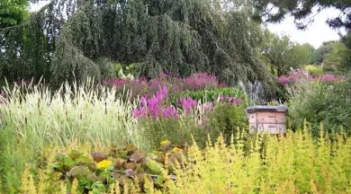 ruche (3) - Jardins des Renaudies