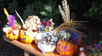 ateliers citrouilles Jardins des renaudies  colombiers du plessis 53 - Les Jardins des Renaudies