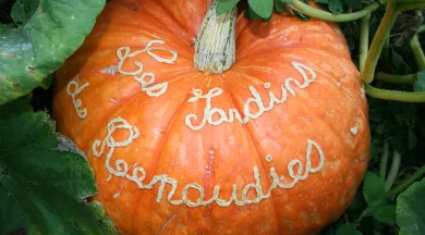 Fête des Citrouilles 2015 Jardins des Renaudies Jardins(1) - Les Jardins des Renaudies