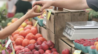 marché - Bocage Mayennais Tourisme