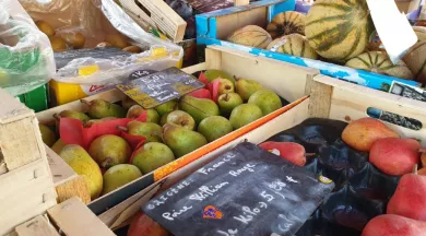 Chaque mercredi matin, le marché à St-Pierre-des-Nids - © CCMA