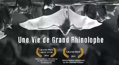 affiche_Vie-Grand-rhinolophe - Groupe Chiroptère de Provence