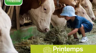 2024_PRINTEMPS BAF - Instagram - 1 - Bienvenue à la ferme, région pays de la loire