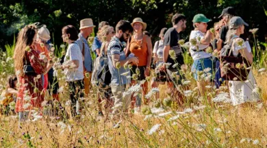 spectacle surprise le 6 aout 2025 - L'Arbre Bavard