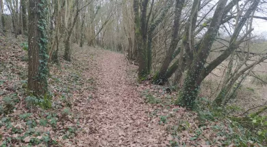 Sentier de la Colmont - Gorron 53 © Bocage Mayennais -10 - © Bocage Mayennais