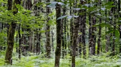 Programme_CIN_Trim_1_2025_Livret_planche-1 - Laval Agglo