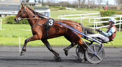 hippodrome meslay-du-maine photo - ©Hippodrome de Meslay-du-Maine