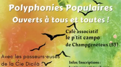 Stage de chants du monde - MR