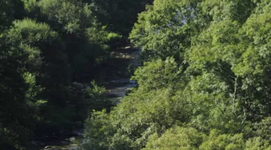 Canyon_des_Toyeres - Pascal_BELTRAMI_Mayenne_Tourisme
