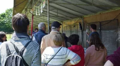 RDV aux jardins - tatin marché - © Département de la Mayenne