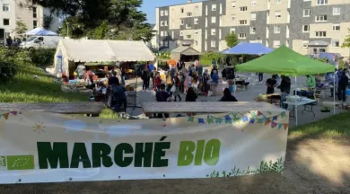 Marché bio - Civam53