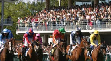 galop - ©Mairie Craon 