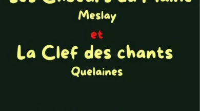 e2b2b64161075041002b35edd784c218_concert-de - ©Meslay du Maine
