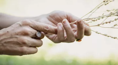 crédits photo sont de Simon Gosselin - Simon Gosselin