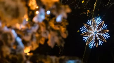 Dacterie, quartier de Lumières - Chloé Bréhin - Ville de Laval