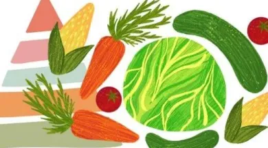 Atelier Alimentation - ©mediatheque.chateaugontier.fr