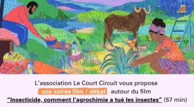FEstival Alimenterre - Asso Le Court Circuit