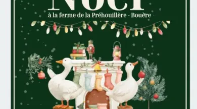 Affiche Noel 2026 - 1 - ©La Préhouillère